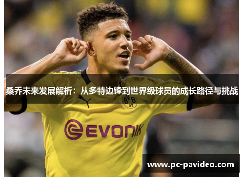 桑乔未来发展解析：从多特边锋到世界级球员的成长路径与挑战