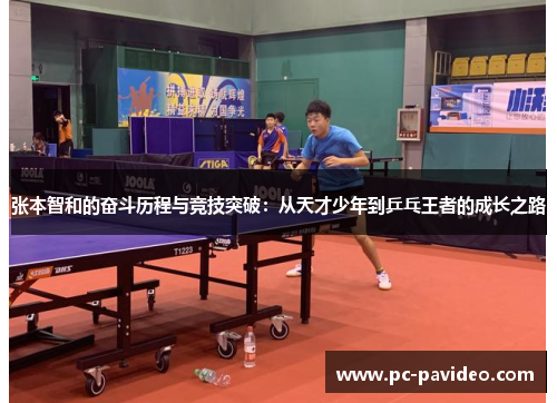 张本智和的奋斗历程与竞技突破：从天才少年到乒乓王者的成长之路