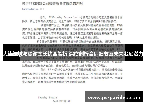 大连鲲城与穆谢奎长约全解析 深度剖析合同细节及未来发展潜力
