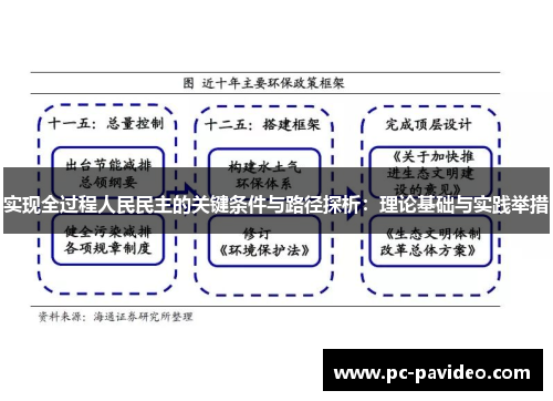 实现全过程人民民主的关键条件与路径探析：理论基础与实践举措