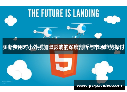 买断费用对小外援加盟影响的深度剖析与市场趋势探讨