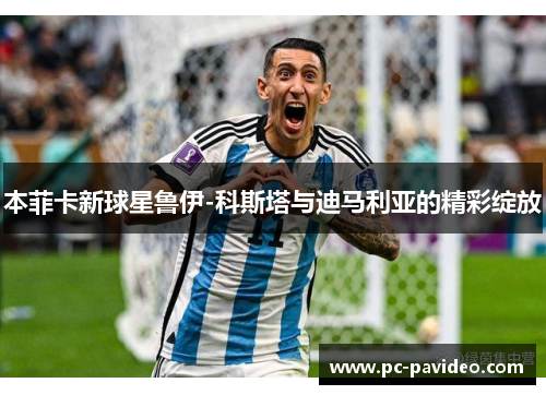 本菲卡新球星鲁伊-科斯塔与迪马利亚的精彩绽放