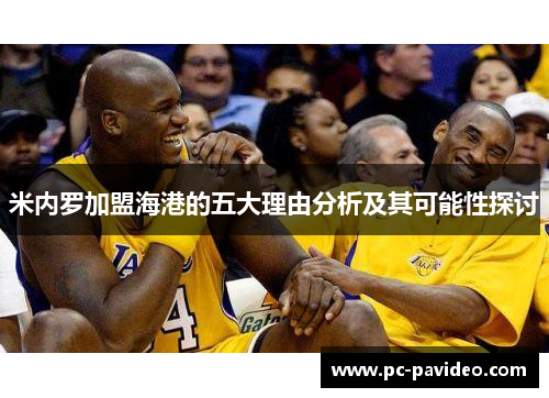 米内罗加盟海港的五大理由分析及其可能性探讨